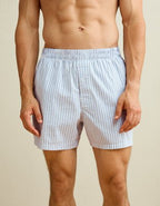 AEO Men's Poplin Classic Pocket Boxer Short - Light Blue