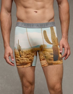 AEO Men's Photoreal 6" Ultra Soft Boxer Brief - Skyline Blue