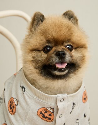 ABO Luxe Plush Snoopy PJ Top