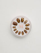 Mani Muse Cat's Meow Press-On Nails - Multi