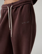 OFFLINE By Aerie Cloud Fleece Baggy Jogger - Relic