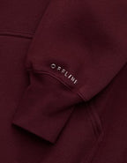 OFFLINE By Aerie Cloud Fleece Oversized Hoodie - Royal Berry