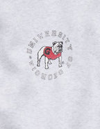 Georgia Bulldogs OFFLINE By Aerie Crewneck - Light Heather Gray