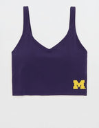 Michigan Wolverines OFFLINE By Aerie Low Key Sports Bra - Classic Navy