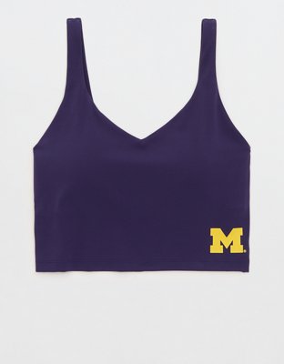 Michigan Wolverines OFFLINE By Aerie Low Key Sports Bra - Classic Navy