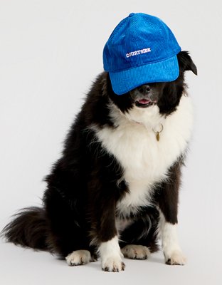 OFFLINE By Aerie Corduroy Baseball Hat - Cobalt Jewel